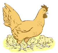 gallina gallina.gif