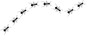 hormigas hormigas.gif